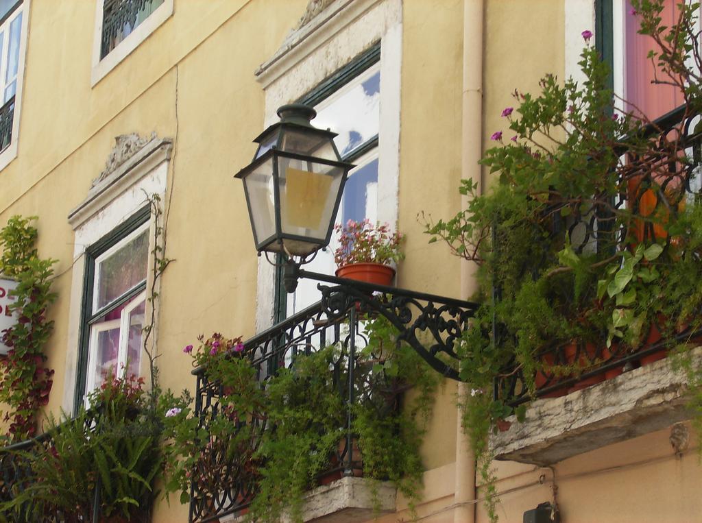Lisboa 迪亚斯多明格斯旅舍旅舍 外观 照片